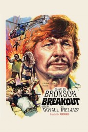 watch Breakout free online