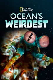 watch Ocean's Weirdest free online