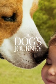 watch A Dog's Journey free online