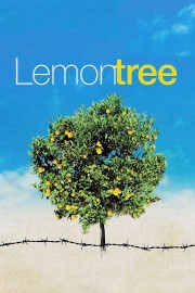 watch Lemon Tree free online