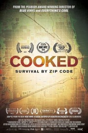 watch Cooked: Survival by Zip Code free online