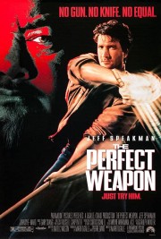 watch The Perfect Weapon free online