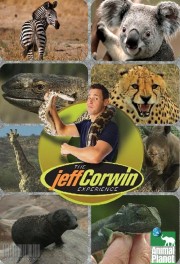 watch The Jeff Corwin Experience free online