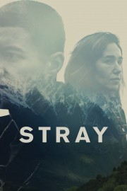 watch Stray free online