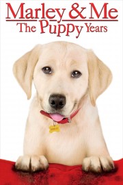 watch Marley & Me: The Puppy Years free online