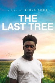 watch The Last Tree free online