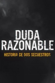 watch Reasonable Doubt: A Tale of Two Kidnappings free online