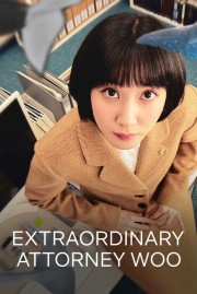 watch Extraordinary Attorney Woo free online