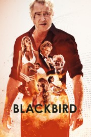 watch Blackbird free online