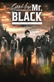 watch Goodbye Mr. Black free online