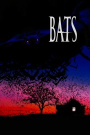 watch Bats free online