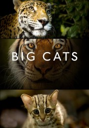 watch Big Cats free online