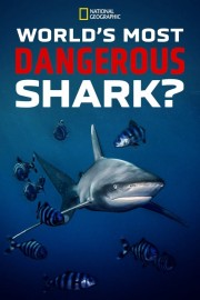 watch World's Most Dangerous Shark? free online