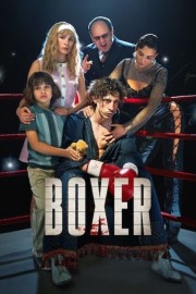 watch Boxer free online