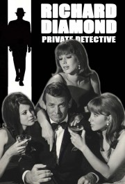 watch Richard Diamond, Private Detective free online