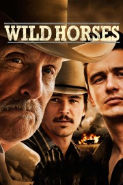 watch Wild Horses free online