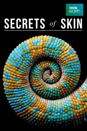 watch Secrets of Skin free online