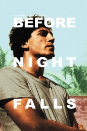 watch Before Night Falls free online