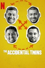 watch The Accidental Twins free online