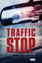 watch Traffic Stop free online