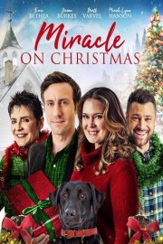 watch Miracle on Christmas free online