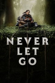 watch Never Let Go free online