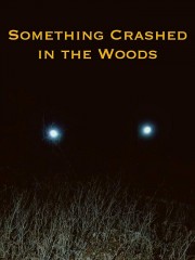 watch Something Crashed in the Woods free online