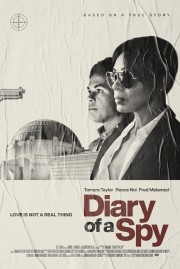 watch Diary of a Spy free online