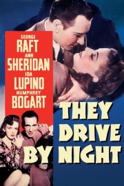 watch They Drive by Night free online