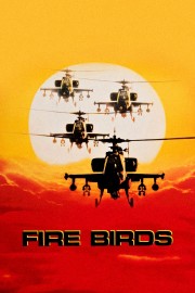 watch Fire Birds free online