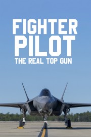 watch Fighter Pilot: The Real Top Gun free online