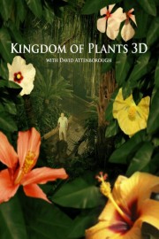 watch Kingdom of Plants free online