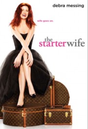 watch The Starter Wife free online