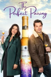 watch The Perfect Pairing free online