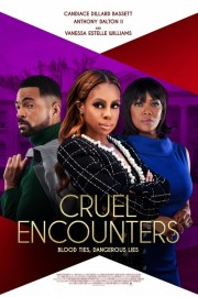 watch Cruel Encounters free online