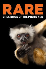 watch Rare: Creatures of the Photo Ark free online