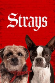 watch Strays free online