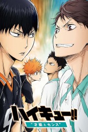 watch Haikyuu!! Movie 3: Genius and Sense free online