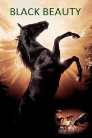 watch Black Beauty free online