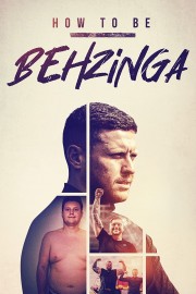 watch How to Be Behzinga free online