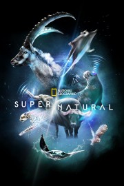 watch Super/Natural free online