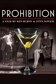 watch Prohibition free online