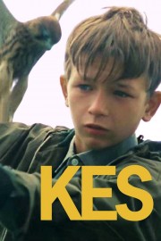 watch Kes free online