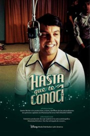 watch Hasta que te conoci free online