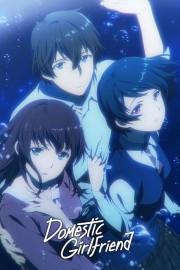 watch Domestic Girlfriend free online