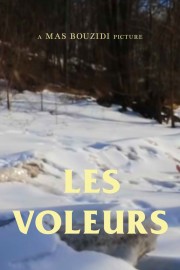 watch Les Voleurs free online