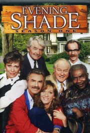 watch Evening Shade free online