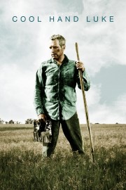 watch Cool Hand Luke free online