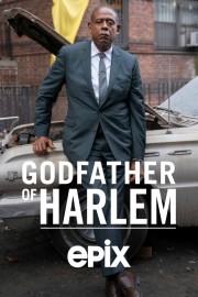 watch Godfather of Harlem free online