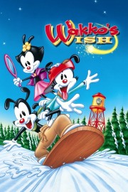 watch Wakko's Wish free online